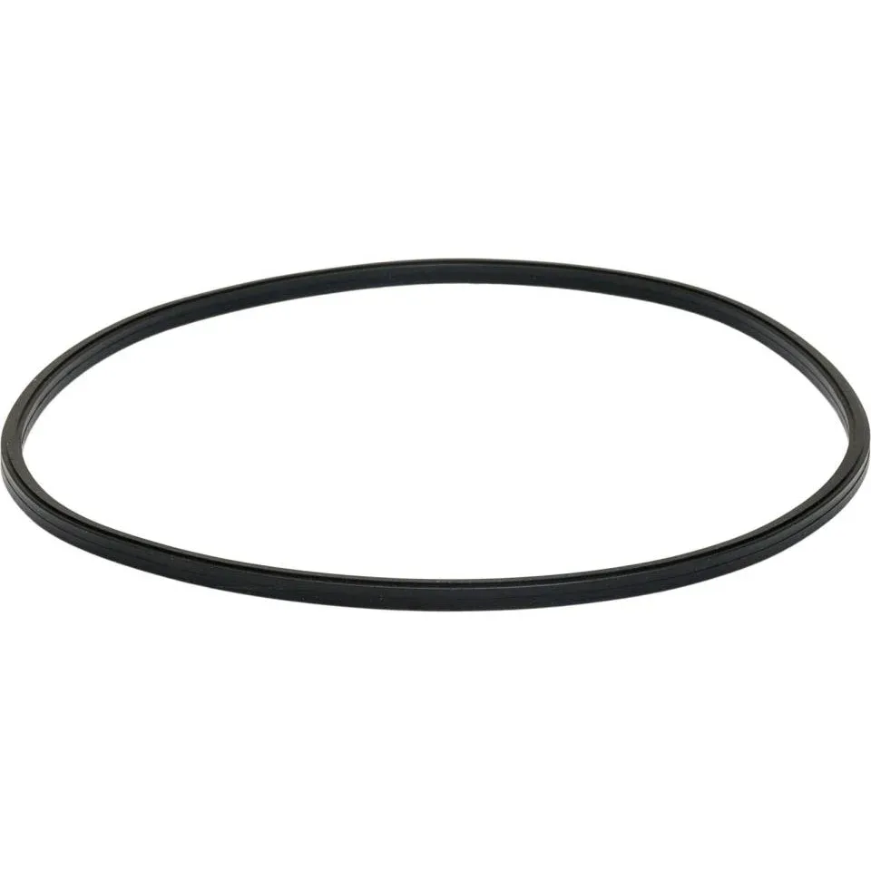 4FISH O-ring t/pumpehoved til 4FISH 400X