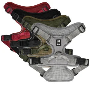 51 – Wanderful – H Harness – Trail