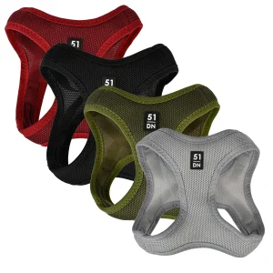 51 – Wanderful – Y Harness – Breeze