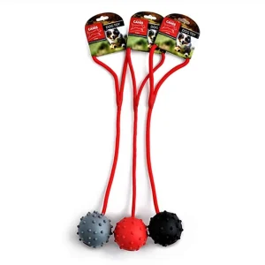 Active Ball, bold med reb