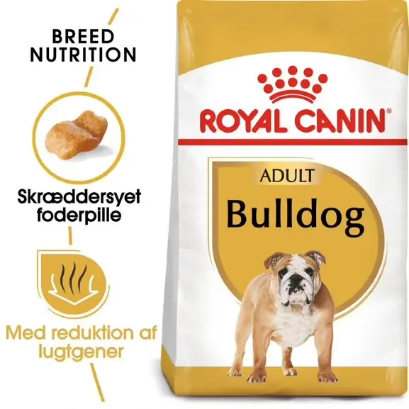Adult Bulldog 12 kg - Image 2