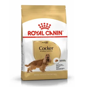 Adult Cocker Spaniel 12 kg