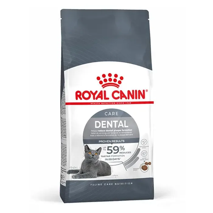 Adult Dental Care