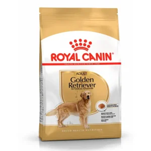 Adult Golden Retriever 12 kg