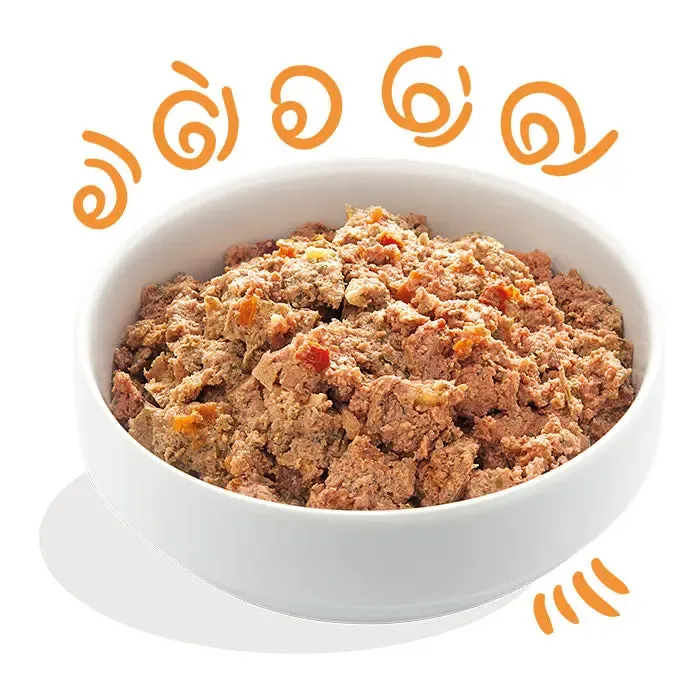 Adult Kylling & Kalkun med grønt 300 g - Image 2