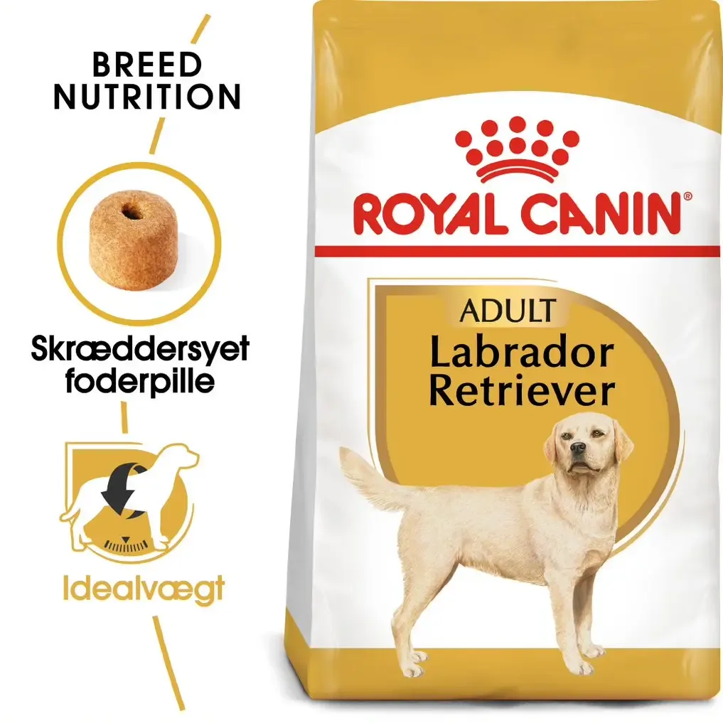 Adult Labrador Retriever 12 kg - Image 2