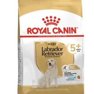 Adult Labrador Retriever 5+ 12 Kg