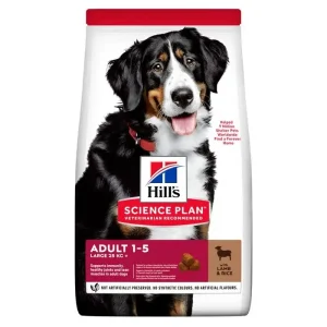 Adult Large Breed lam og ris 14 kg