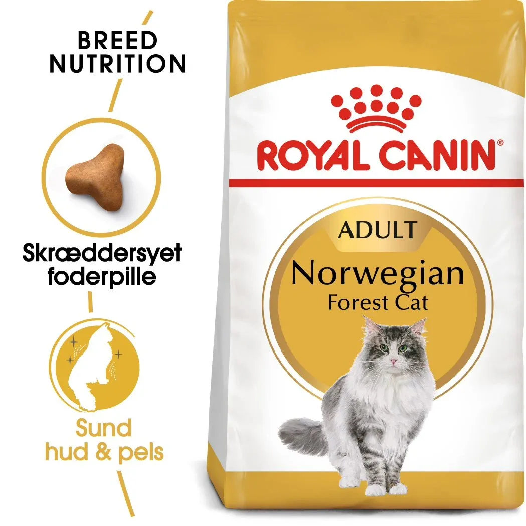 Adult Norsk skovkat tørfoder - Image 2