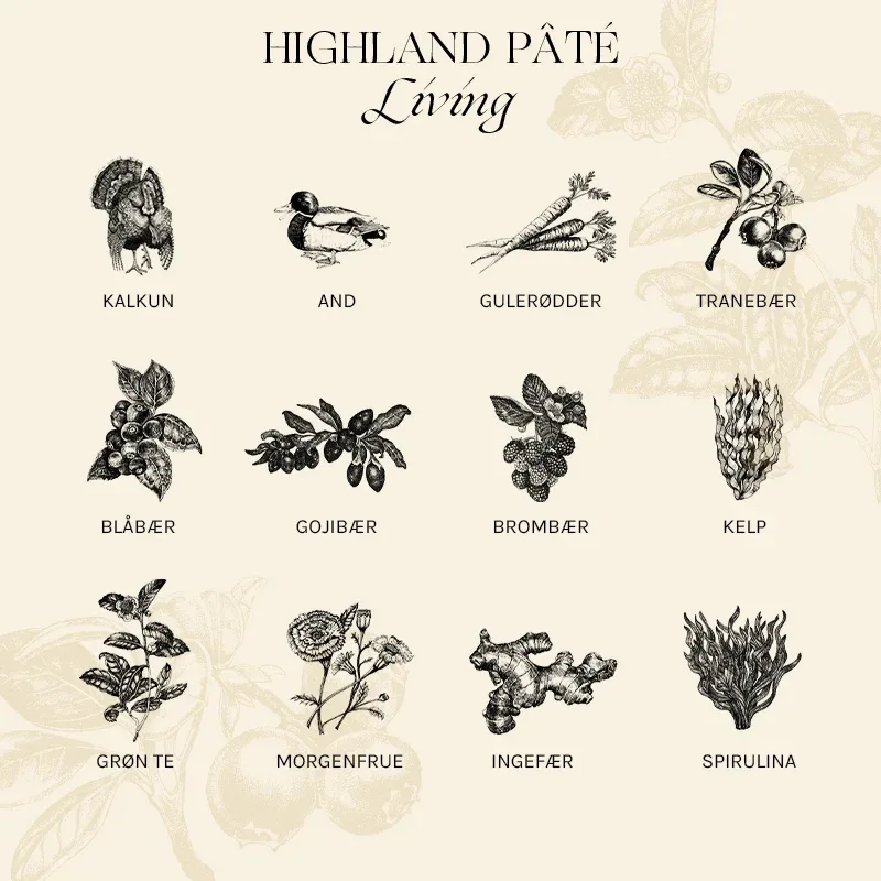 Adult Paté Highland Living kalkun & and 400 g - Image 2