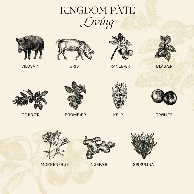 Adult Paté Kingdom Living vildsvin 400 g - Image 2