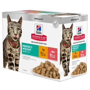 Adult Perfect Weight, menu pou 12x85 g