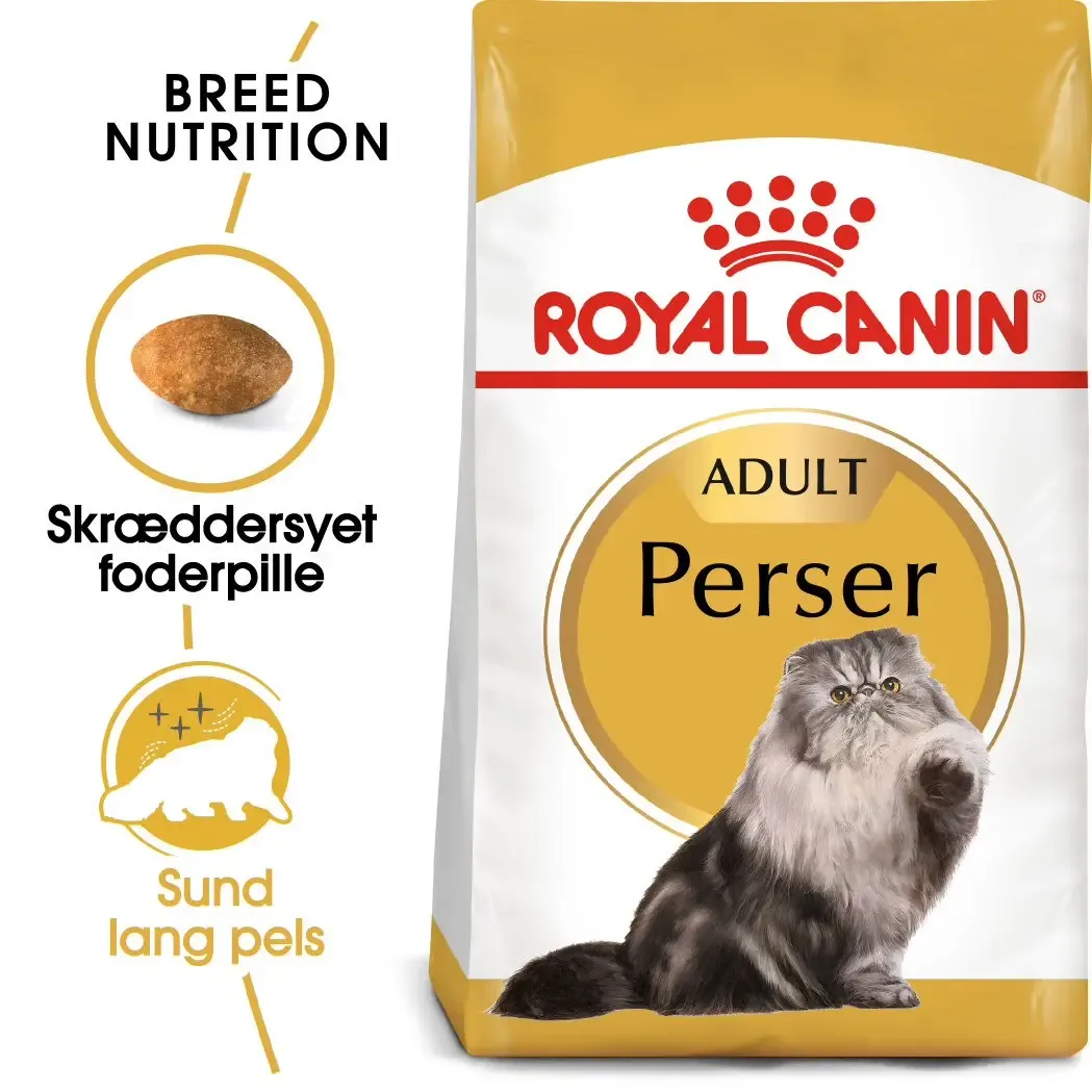 Adult Persian - Image 2