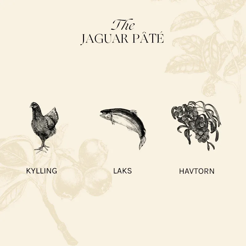 Adult The Jaguar Pâté, kylling, lever & laks 12x85 g - Image 2