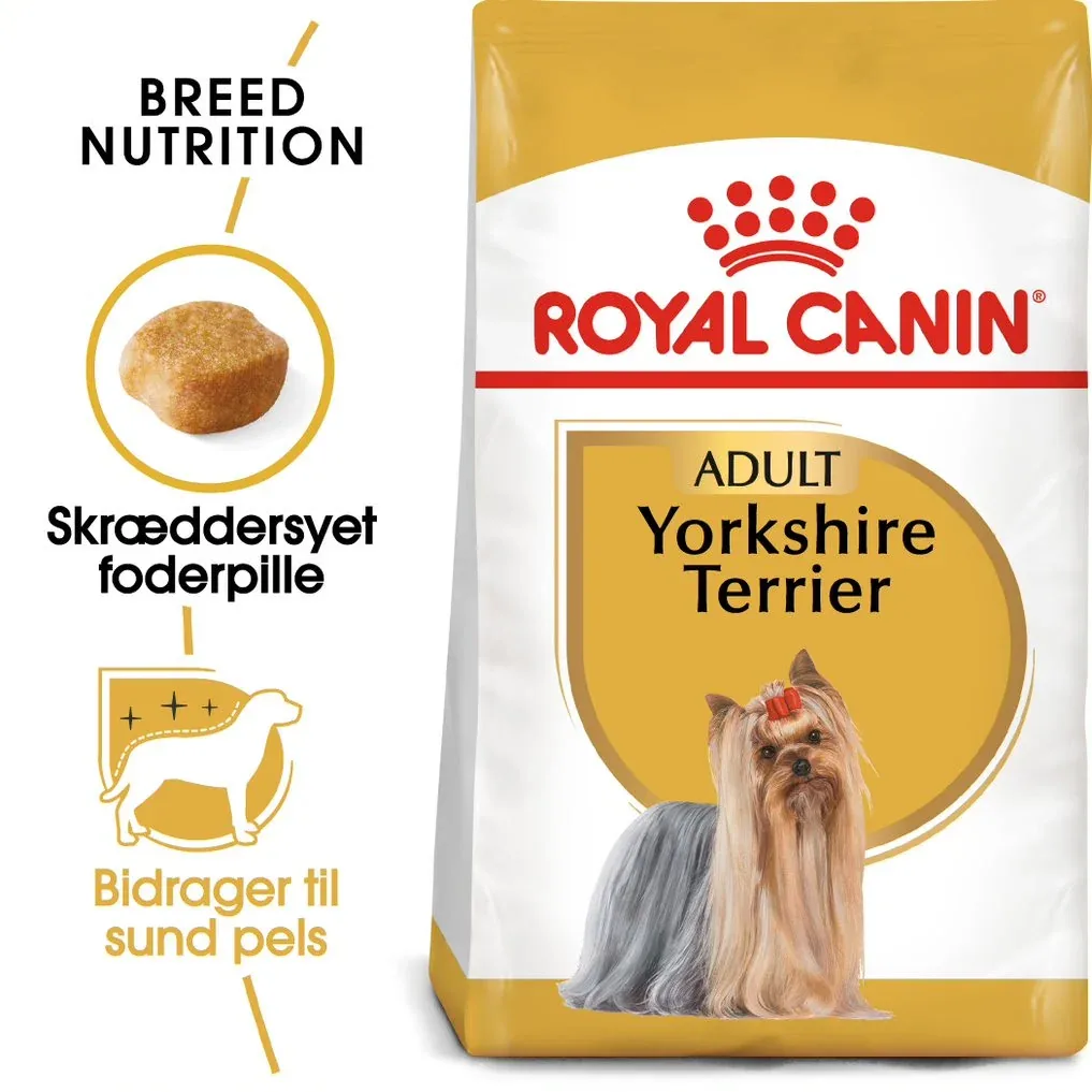 Adult Yorkshire Terrier 7,5 kg - Image 2