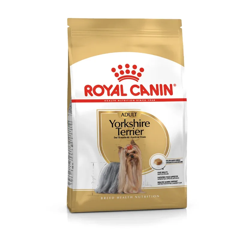 Adult Yorkshire Terrier 7,5 kg