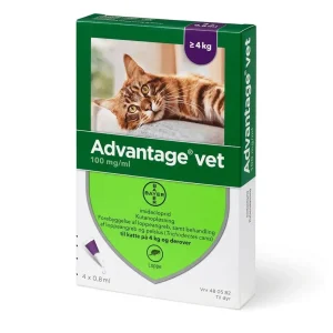 Advantage loppemiddel til kat over 4kg 4 pipetter