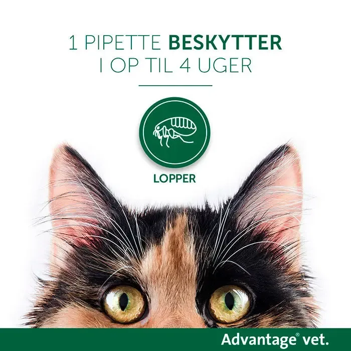 ADVANTAGE VET Loppemiddel kat over 4 kg - 4x0,8 ml - Image 2