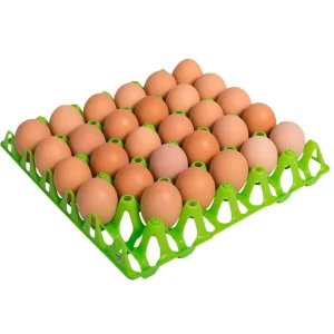 Æggebakke plast 30 æg