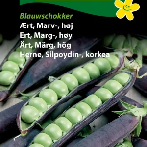 Ært, Marv-, høj, Blauwschokker (C) 1408