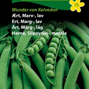 Ært, Marv-, lav, Wunder von Kelvedon (C) 1354