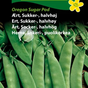 Ært, Sukker-, halvhøj, Oregon Sugar Pod (F) 1360
