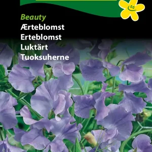 Ærteblomst, Beauty (D) 1762