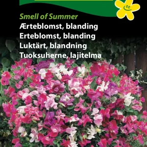 Ærteblomst, blan., Smell of Summer (F) 1764