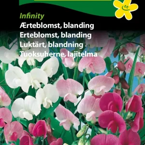 Ærteblomst, blanding, Infinity (E) 1806