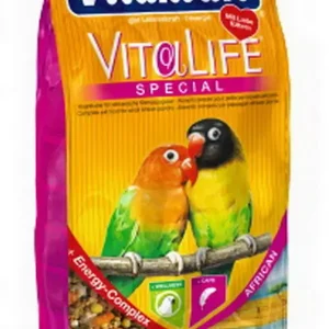 African Dværgpapegøje 750 g