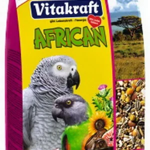 African Gråpapegøje750 g