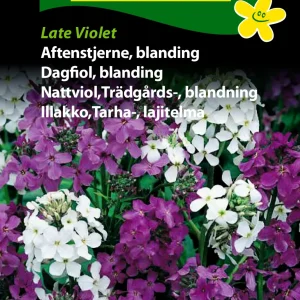 Aftenstjerne, blanding, Late Violet ( C) 1812