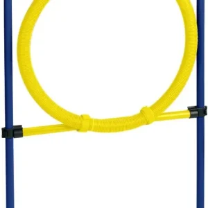 Agility-ring 75x117 cm blå/gul