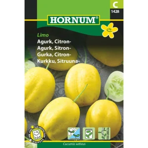 Agurk, Citron-, Limo (C) 1428