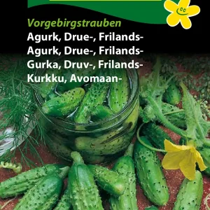 Agurk, Drue-, Frilands-, Vorgebirgs. (A) 1203