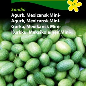 Agurk, Mexicansk Mini-, Sandia (D) 1204