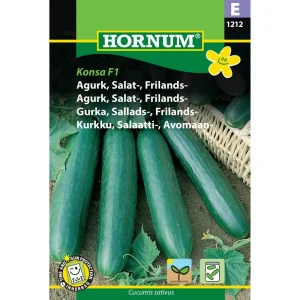Agurk, Salat-, Frilands-, Konsa F1 ( E) 1212