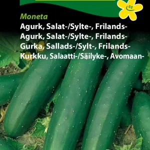 Agurk, Salat-, Frilands-, Moneta (C) 1210