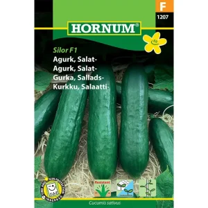 Agurk, Salat-, Silor F1 Hybride (F) 1207