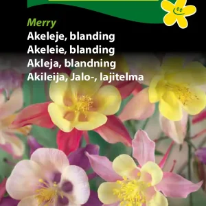 Akeleje, blanding, Merry (B) 1651