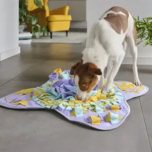 Aktivering af hund - simple råd til din hverdag