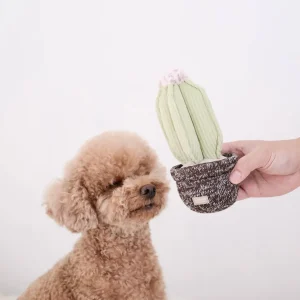 Aktivitetslegetøj – kaktus 🌵