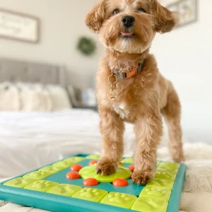 Aktivitetslegetøj "multipuzzle" - til hunde og katte SV4
