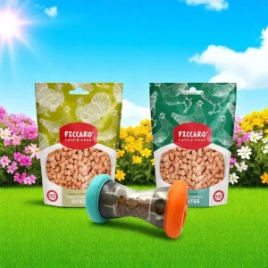 Aktivitetspakke 1 – Ficcaro Godbidder og Snack Roller