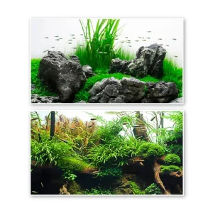 Akvariebaggrund Amazonia 30x60 cm