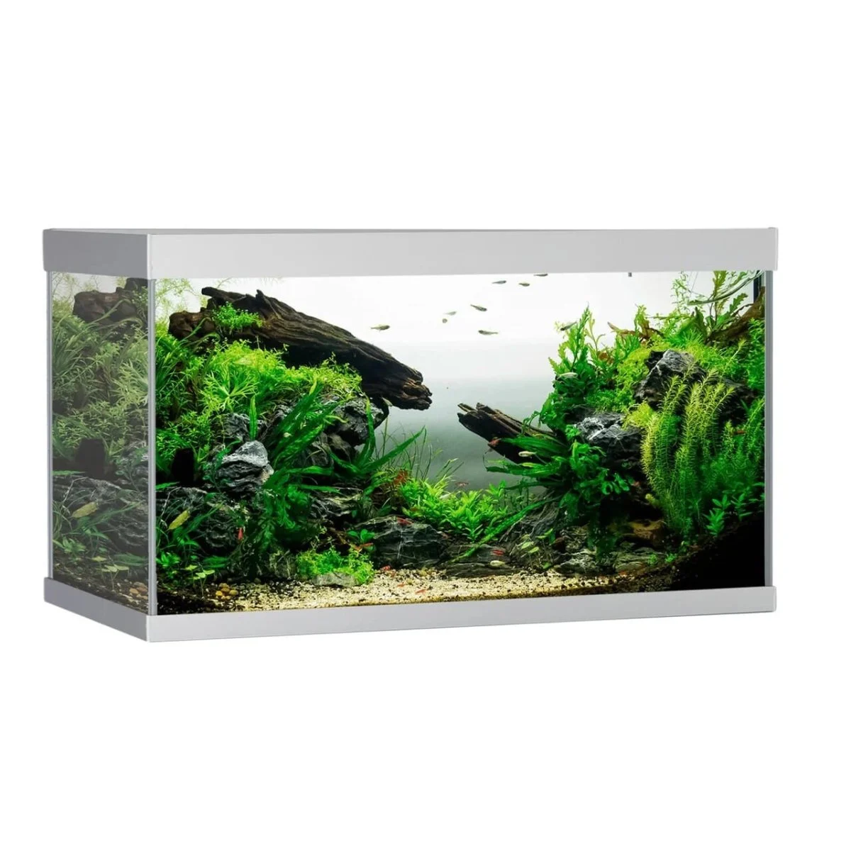 AkvaStabil ELEMENT Akvarium 144L Sølv – Plug & Play akvarie med LED - Image 2