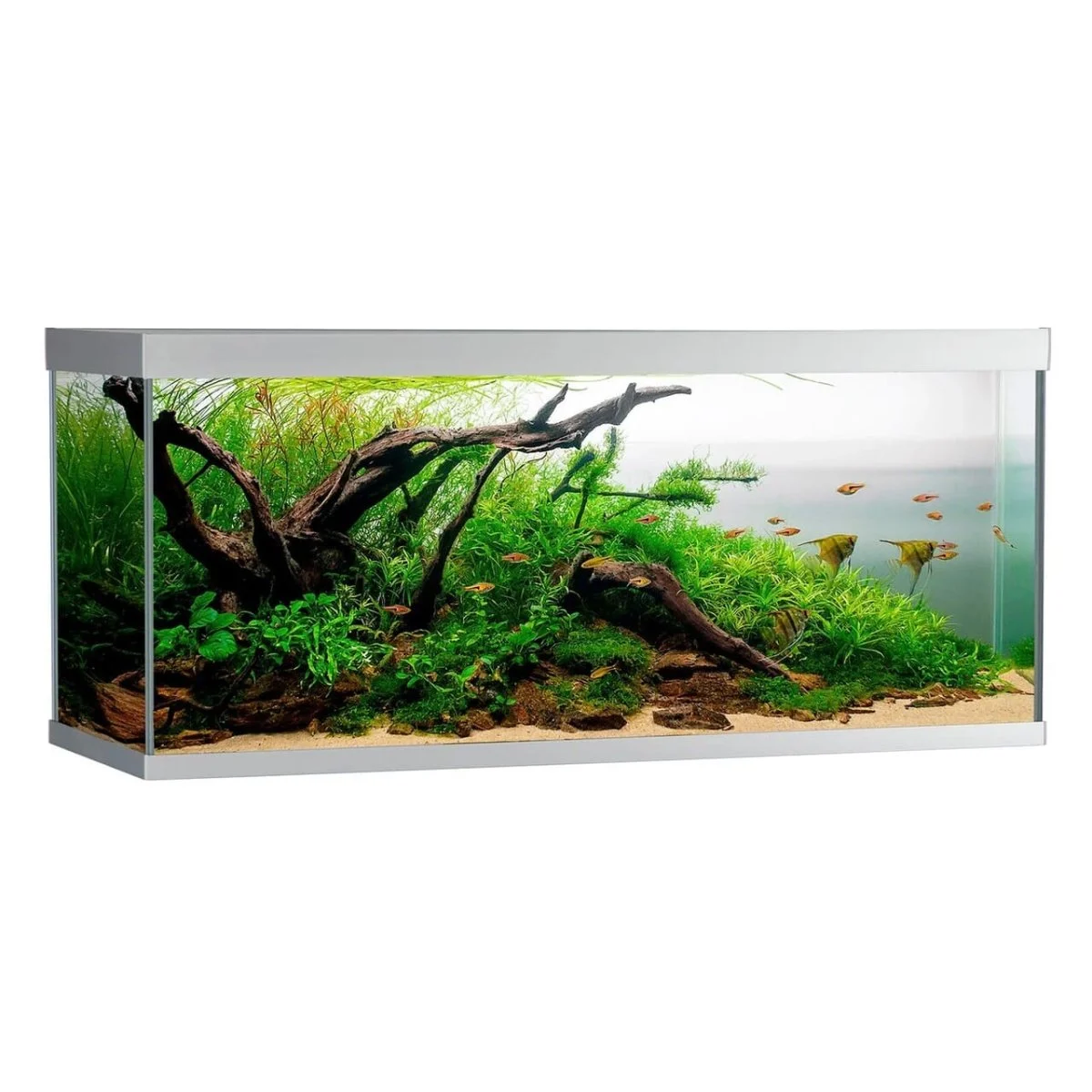 AkvaStabil ELEMENT Akvarium 240L Sølv – Plug & Play akvarie med LED