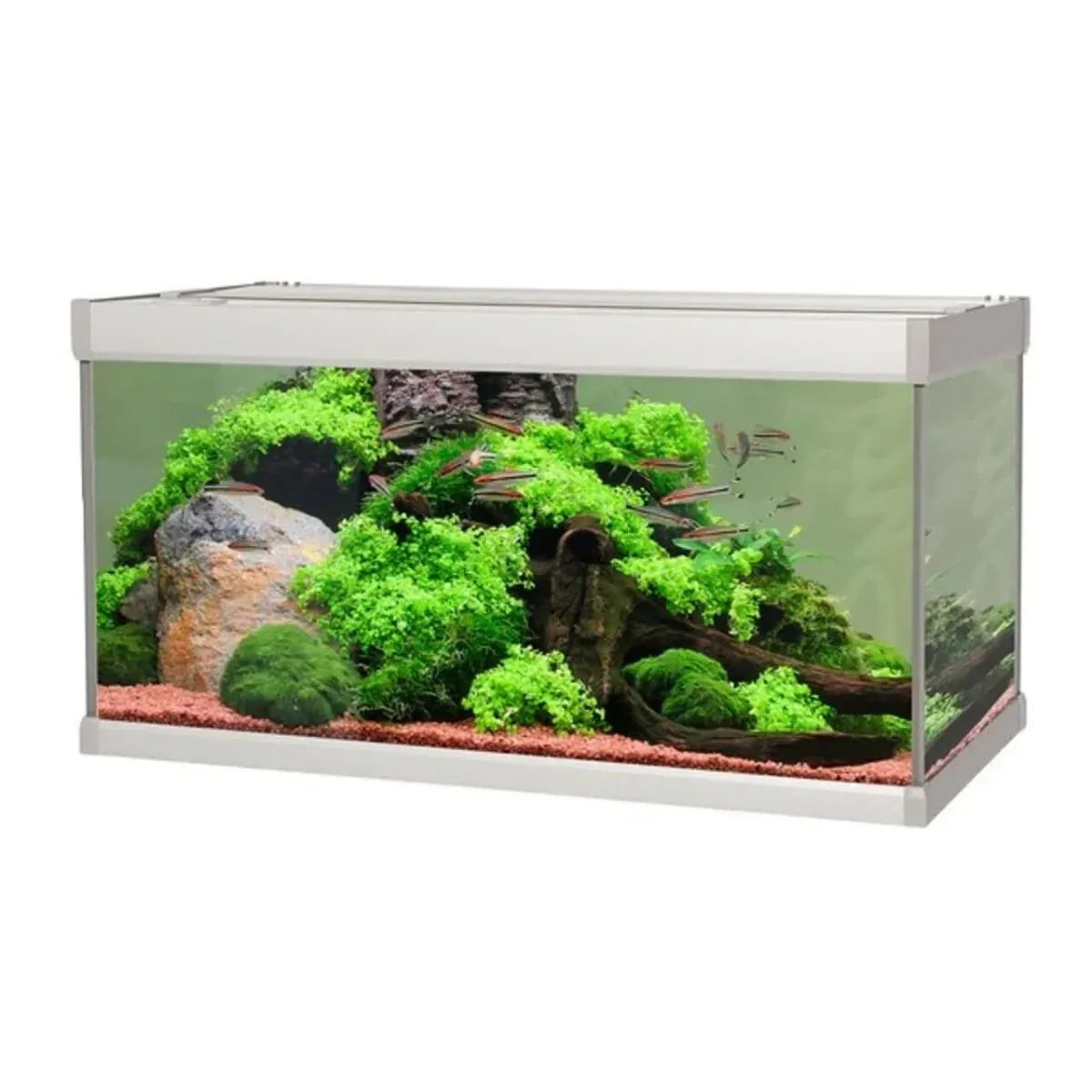 AkvaStabil FAMILY akvarium 54L – komplet starterakvarie med LED
