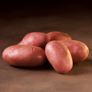 Alouette rød læggekartofler – 1,5 kg.