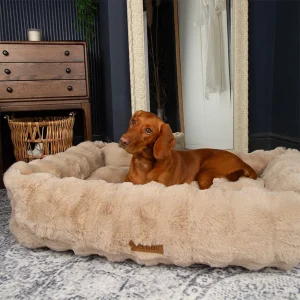 Alpine Box Bed XL 90x70 cm Champagne
